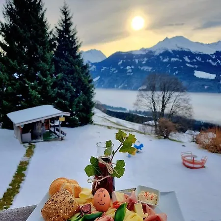 Klausner Guest house *